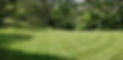 lawn7_edited_edited.jpg