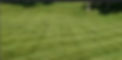 LAWN4_edited.jpg