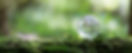 AdobeStock_528032788.jpeg