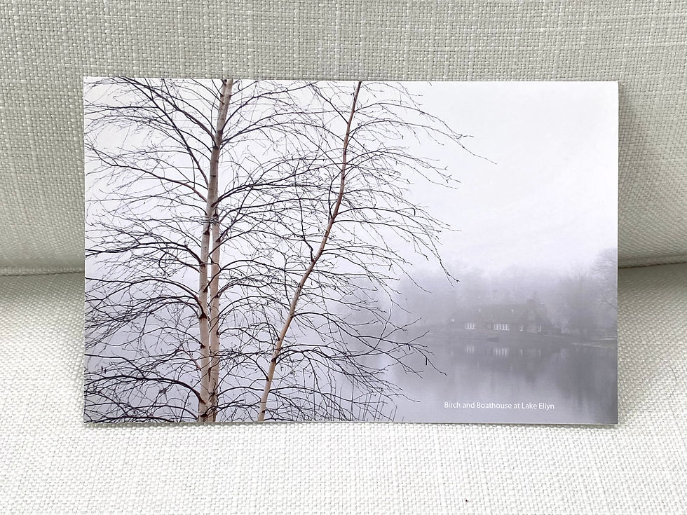 Thumbnail: Scenes of Glen Ellyn - Set of 5 Cards