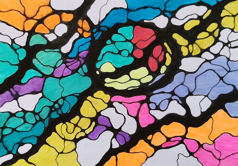 Example of NeuroGraphica drawing