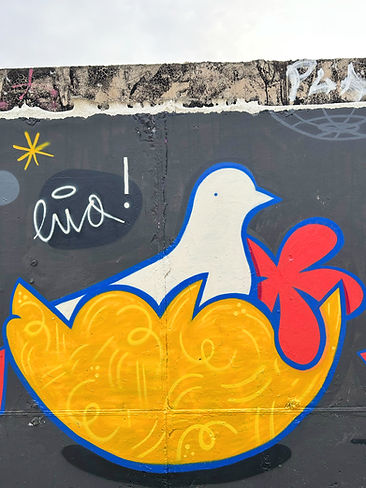 WhatsApp Image 2025-04-12 at 22.07_edite