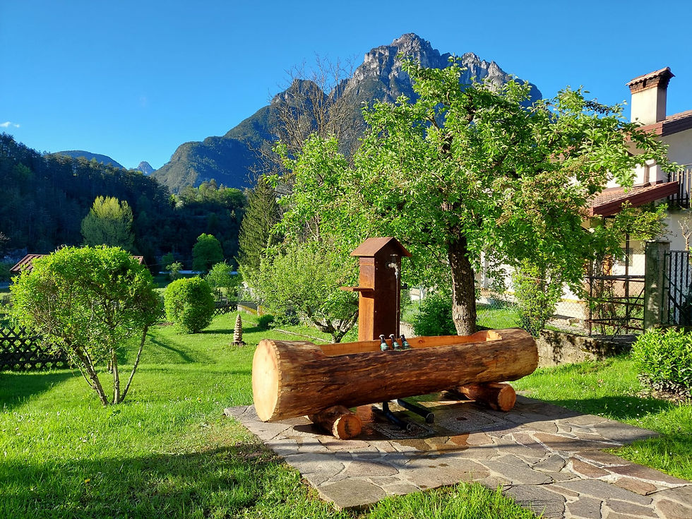 fontana carpenteria valchiampo