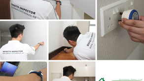 How do I know whether my home has any defects?