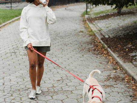 10 Fun Things to Do with Dogs in the DMV
