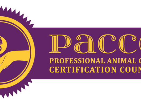 Everything Dog Owners Should Know About the Professional Animal Care Certification Council (PACCC)