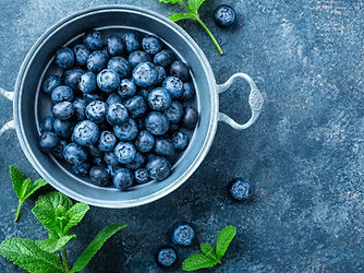 nutrition consultation