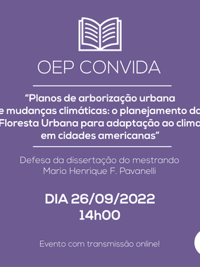 Banca de mestrado Mario Henrique Felgueira Pavanelli