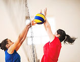 Volleyball Players