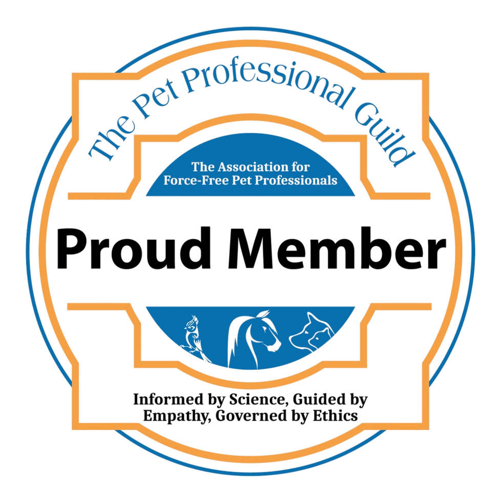 Photoroom_20260428_213250.png