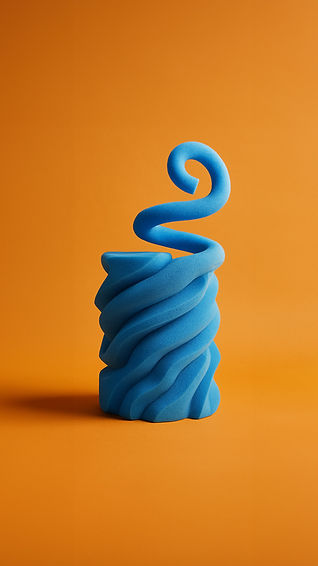 Fonksiyonel Süngerleri.jpg