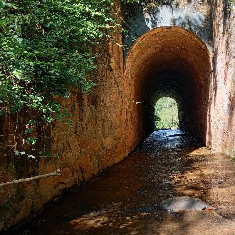 Túnel da Pedra da Baleia