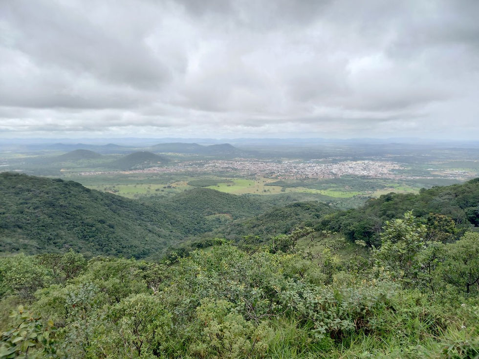 photo4947407725327919793