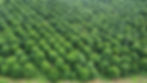 319888338_740640566904003_2440697847699614368_n-1400x788.jpeg
