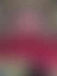 Our 2026 parade performers following the finale