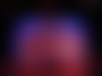 Performance Showcase