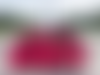 Cherry Blossom parade performers dressed in all pink posing as a group in front of the Washington Memorial