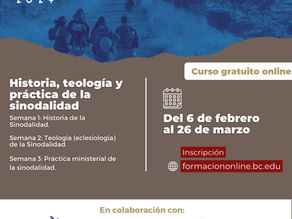 Curso gratuito online: "Historia, teologÃa y práctica ministerial de la sinodalidad".