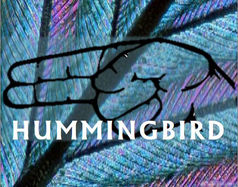 Hummingbird