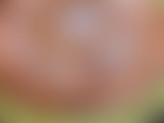 Wednesday Recipes--Maple Sunburst Coffee Cake