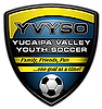 YVYSO Logo.webp