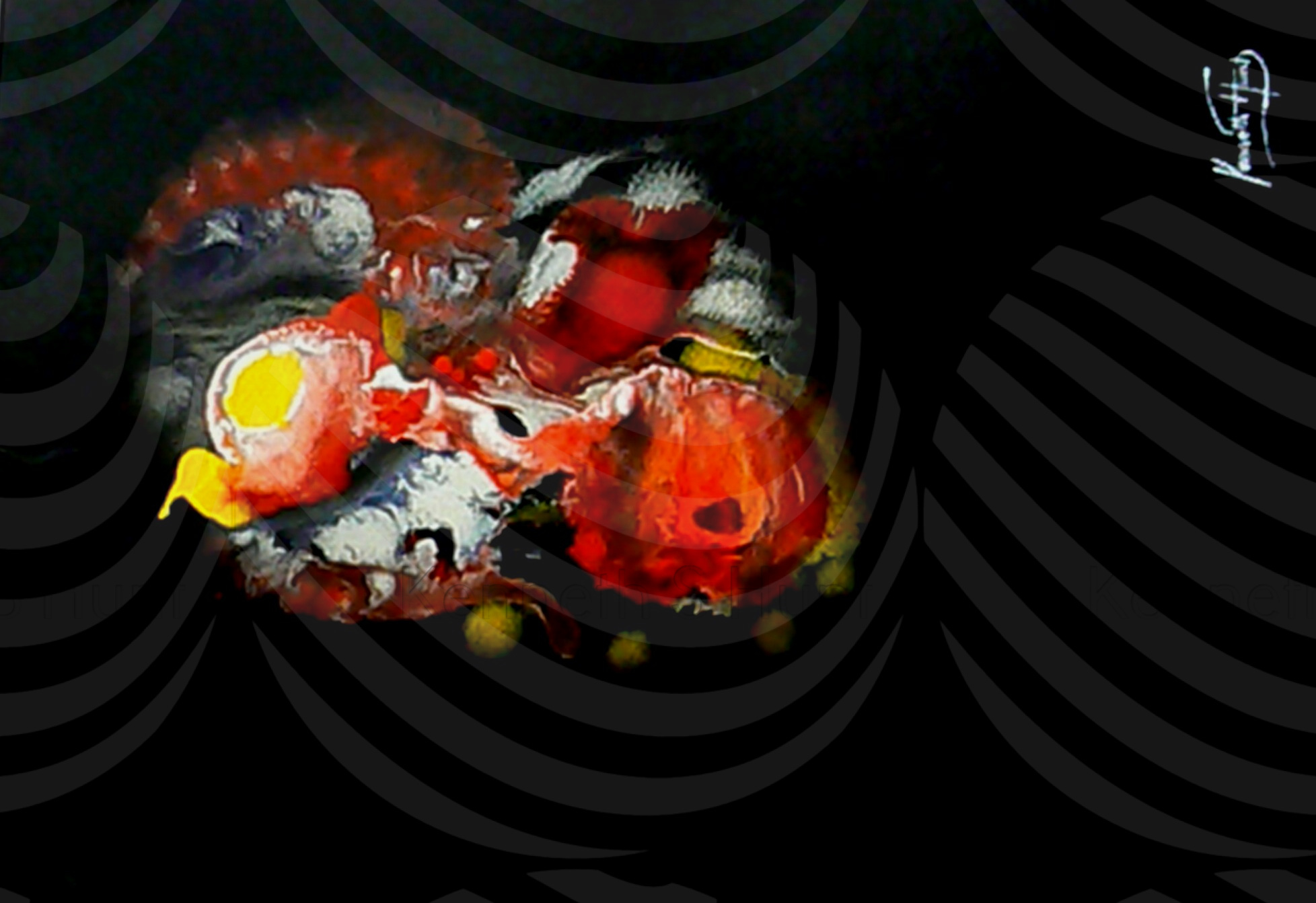 70 Splash of colour 3