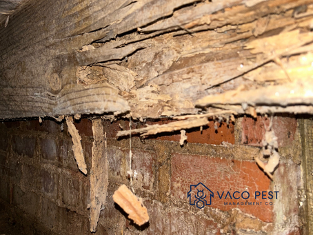 The Secrets of Crawl Space Health