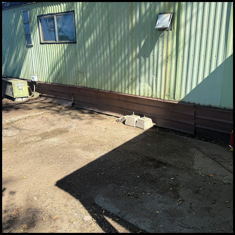 Green home wall in sunlight with windows, vent, and concrete blocks beside a yard after junk removal.