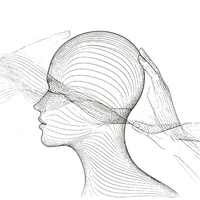 Stress Physiology & Immune Regulation  - Soupelina Icon