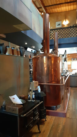 mit Brauerei