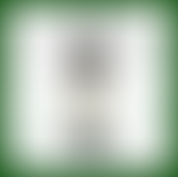 “SAN FRANCESCO – GATTINARA” AZIENDA ANTONIOLO