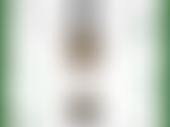 CIAVOLA NERA – DISSIDENTE BIANCO