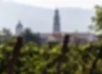 Foto per famiglia.webp