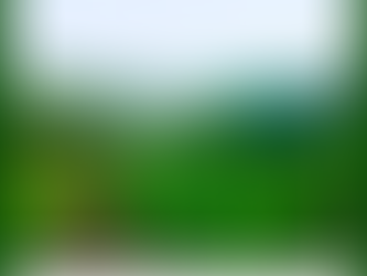 PASSEGGIATA A RUTINO DA SALVATORE MAGNONI