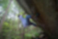 DSC02000.JPG