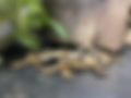 IMG_1062.jpeg