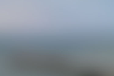 To Smell The Dinosaur , Reached Isle Of Wight Via Crossing 4 Miles English Channel