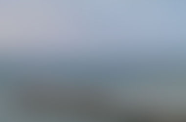 To Smell The Dinosaur , Reached Isle Of Wight Via Crossing 4 Miles English Channel