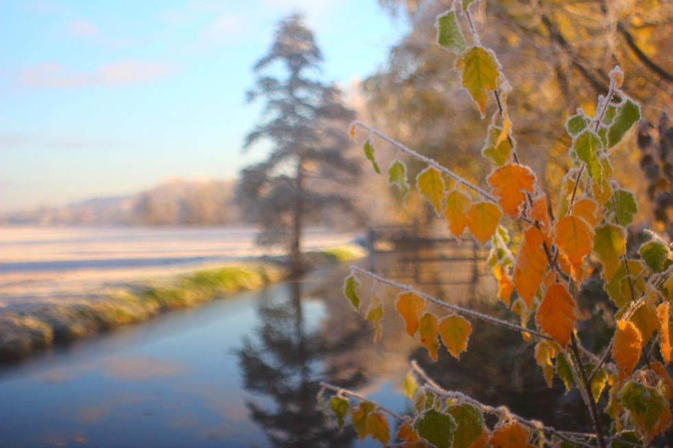 die Seele nähren mit einem Blick