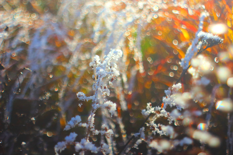 sich den Winter bunt malen