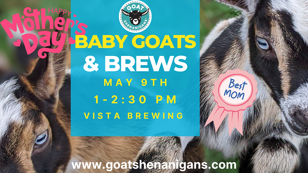 Mother's Day Weekend with Baby Goats & Brews @ Vista Brewing