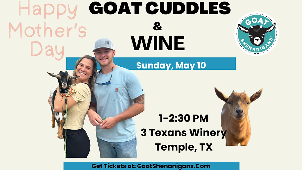Mother's Day Goat Cuddles & Wine at 3 Texans Winery (Temple)