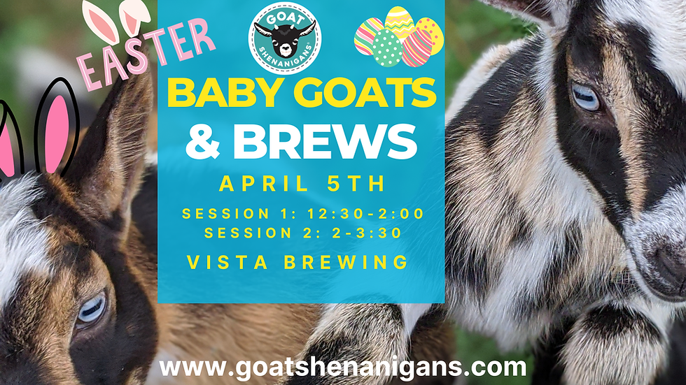 Easter with Baby Goats & Brews @ Vista Brewing (Session 1 of 2)