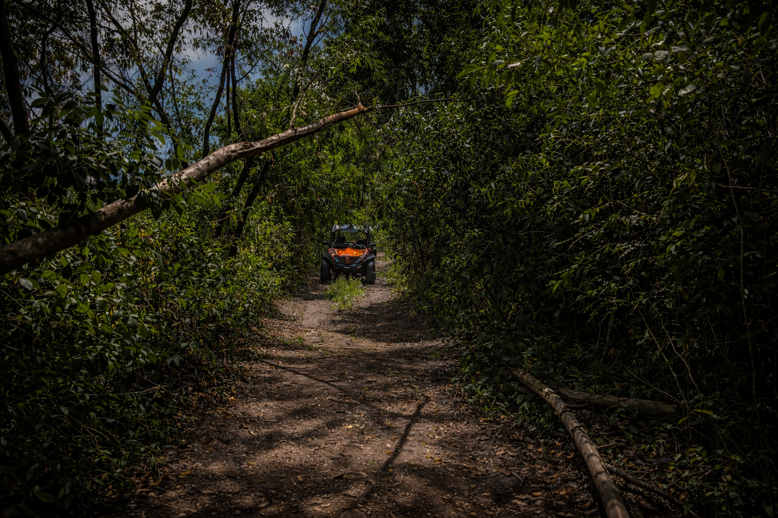 268Buggies excursion imagery on the island of Antigua