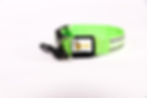 LED Collar