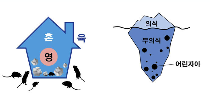 mouse illustration.jpg