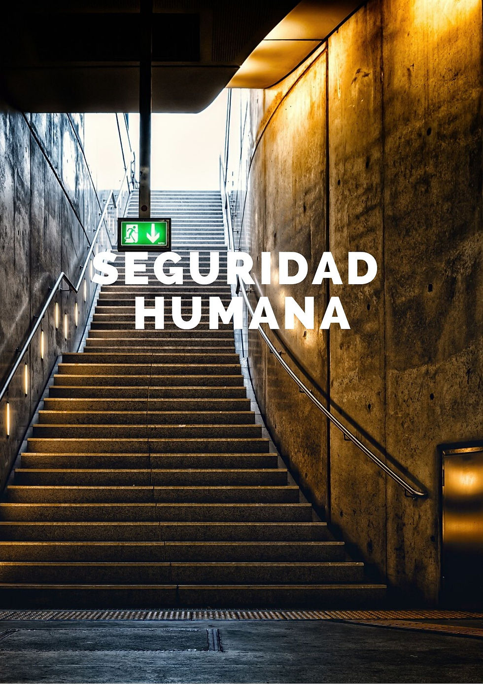 seguridad humana portada