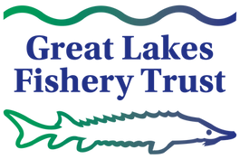 GLFT-Logo-Color (2).png