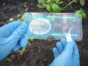 A importância da microbiota do solo e a contribuição da BioAS e metagenômica na Agricultura Regenerativa