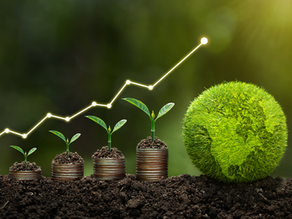 O que é ESG e como aplicar?